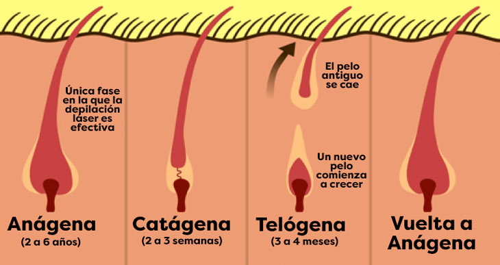 Depilacion definitiva online tipos